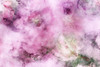 English Garden-L7 Poster Print - Melissa Renee