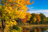 Acadia National Park-Duck Pond Road Poster Print - George and Theodore