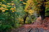 Curved Tracks Poster Print - Vizvary Photography Susan
