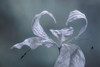 Western Starflower II Poster Print - Kathy Mahan