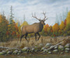 Autumn Elk Poster Print - Robert Wavra