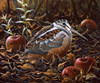 Orchard Woodcock Poster Print - Wilhelm Goebel
