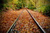 Looking Down the Tracks Poster Print - Vizvary Photography Susan