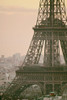 Madame Eiffel Poster Print - Carina Okula