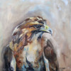 Red Tail Hawk Poster Print - Renee Gould