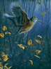 Woodcock On The Wing Poster Print - Wilhelm Goebel