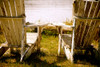 White Chairs On Grass Poster Print - Vizvary Photography Susan