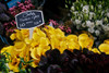 Callas For Sale Poster Print - Vizvary Photography Susan