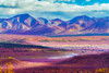 Alaska- Denali National Park. Autumn landscape of valley and mountains. Poster Print - Janet Muir