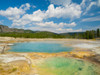 Wyoming- Yellowstone National Park. Black Opal Spring- Upper Geyser Basin Poster Print - Jamie and Wild