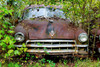 Caddy In The Trees Poster Print - Vizvary Photography Susan