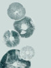Mushroom Light Teal Poster Print - Pernille Folcarelli