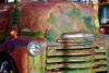 Green Grill Poster Print - Vizvary Photography Susan