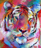 Tiger 4 Poster Print - Richard Wallich