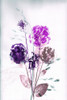 Bouquet Violet Poster Print - Pernille Folcarelli