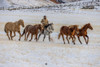 USA- Wyoming. Hideout Horse Ranch- wrangler and horses in snow. Poster Print - Hollice Looney