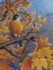 Robins Poster Print - Robert Wavra