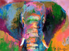 Elephant 2 Poster Print - Richard Wallich