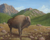 Bison Poster Print - Robert Wavra