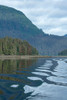 USA-Alaska-Admiralty Island. Poster Print - Cindy Miller Hopkins