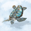 Blue Sea Turtle II Poster Print - And Slyp Errico