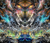 Wild Poster Print - Pedro Gavidia