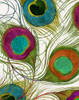 Peacock Feathers II Poster Print - Sasha