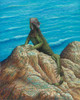 Iguana Poster Print - Robert Wavra