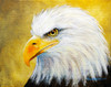 Eagle #1 Poster Print - Richard Summers