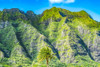 Palm tree-Ko?olau Regional Park-North Shore-Oahu-Hawaii Poster Print - William Perry