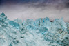 Blue ice characterizes the face of Margerie Glacier. Poster Print - Betty Sederquist