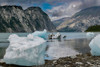 Beached icebergs from nearby McBride Glacier sit on a Muir Inlet beach. Poster Print - Betty Sederquist