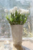 Tulips In The Sun Poster Print - Noah Bay
