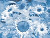 Sunflowers at Dusk Poster Print - GST