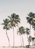 Tropical Paradise Poster Print - and Seb Sisi