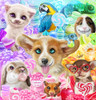 Confectionery Cuties Poster Print - Pike Art Sheena