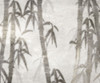 Misty Tree 4 Poster Print - Noah Bay