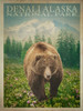 Denali Alaska Poster Print - Red Truck Old