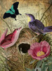 Petals and Wings IV Poster Print - Sasha