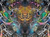 Cernunnos Poster Print - Pedro Gavidia