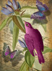 Petals and Wings VI Poster Print - Sasha