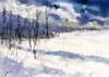 Back Trail Poster Print - Noble Fine Randy