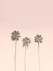 Peachy Palms Poster Print - and Seb Sisi