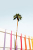 Palm Spring Colors 2 Poster Print - and Seb Sisi