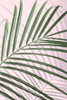 Palm Leaf Minimal Poster Print - and Seb Sisi