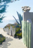 The Green Gate Poster Print - Noah Bay