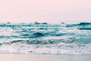 Ocean Wave Blush Poster Print - and Seb Sisi
