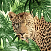 Jungle Eyes 2 Poster Print - Kimberly Allen
