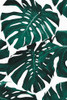 Monstera Leaf Pattern Poster Print - and Seb Sisi