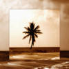 Sepia Palm
